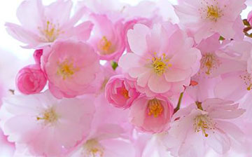 セッションイメージ１