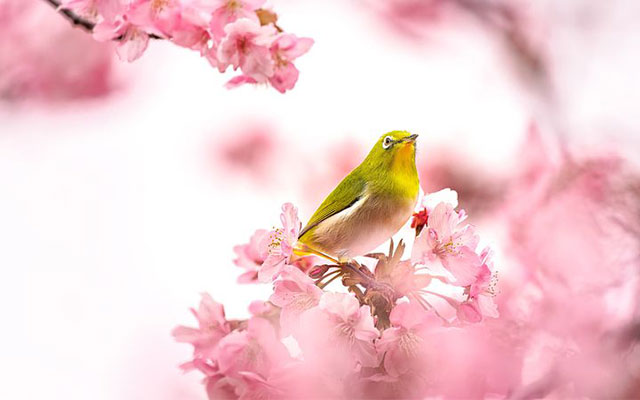 セッションイメージ